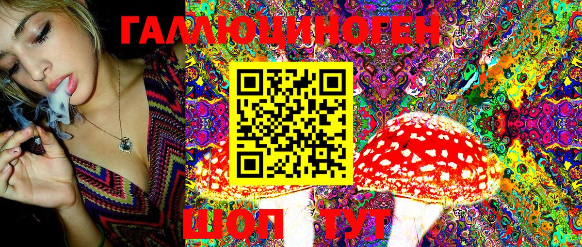 Пугачёв  Псилоцибиновые грибы MAGIC MUSHROOMS  Вход с VPN 