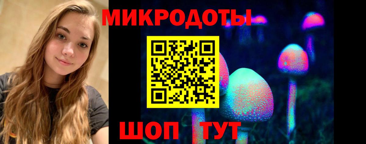Псилоцибиновые грибы GOLDEN TEACHER Пугачёв